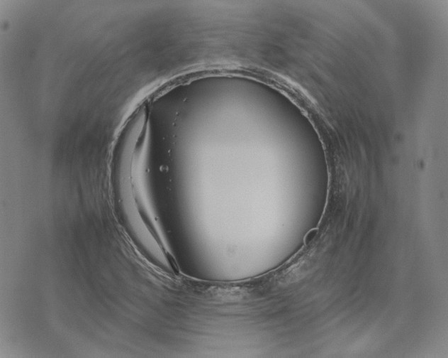 X0000075361168200609251054