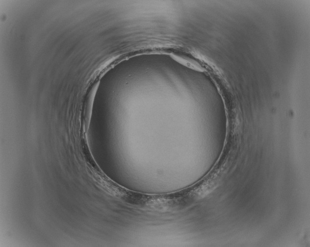 X0000075361169200609251054