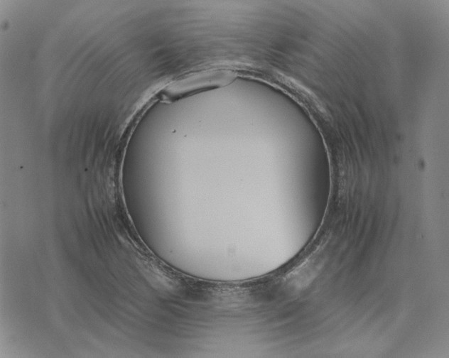 X0000075361170200609251054