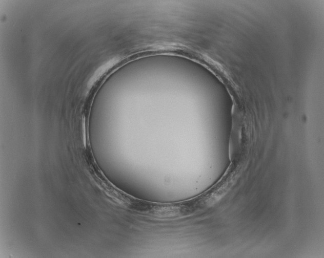 X0000075361171200609251054