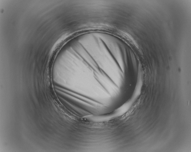 X0000075361172200609251054