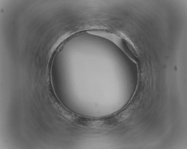 X0000075361173200609251054