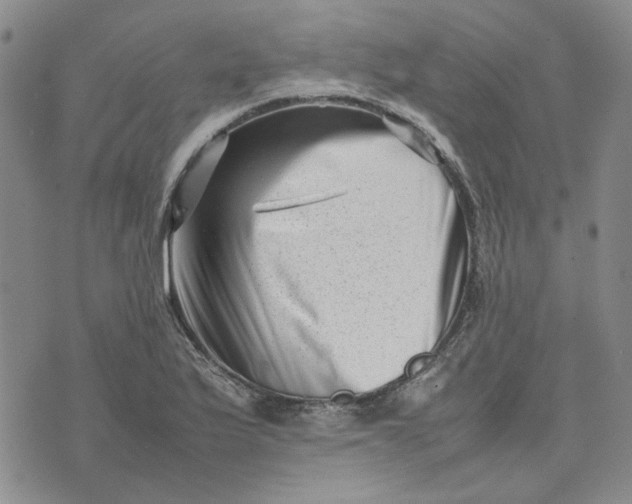 X0000075361175200609251054