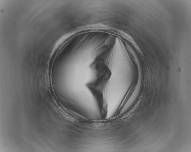 X0000075361176200609251054