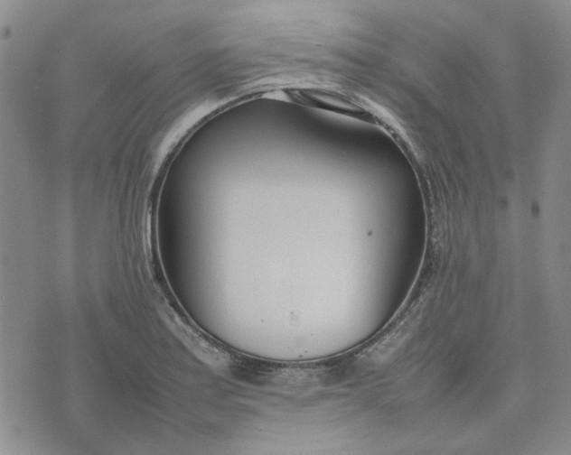 X0000075361179200609251054