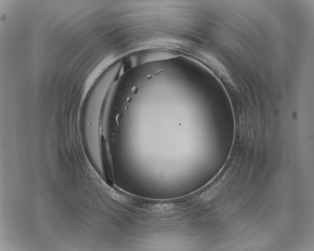 X0000075361180200609251054