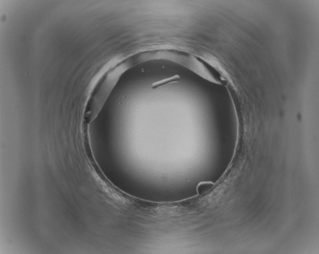 X0000075361181200609251054