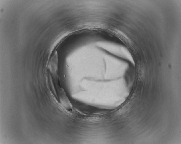 X0000075361182200609251054