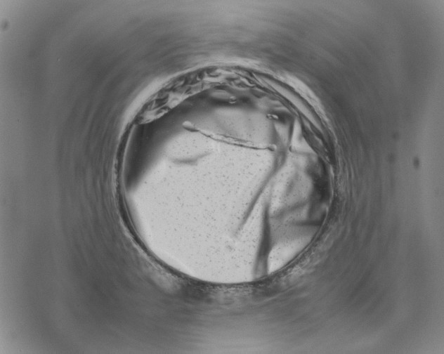 X0000075361183200609251054