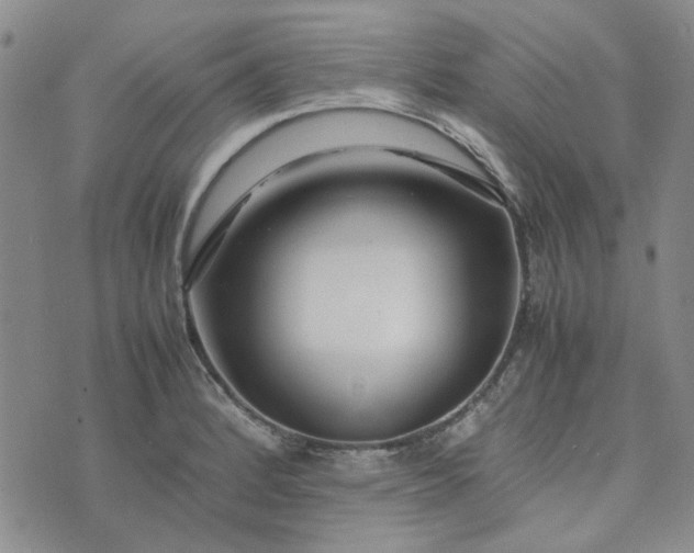 X0000075361184200609251054