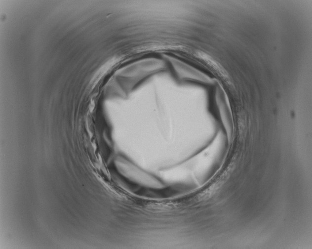 X0000075361185200609251054