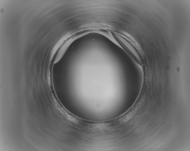 X0000075361188200609251054