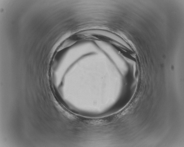 X0000075361189200609251054