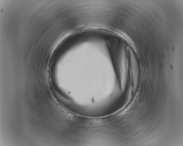 X0000075361190200609251054