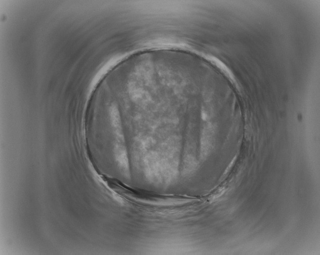 X0000075361191200609251054