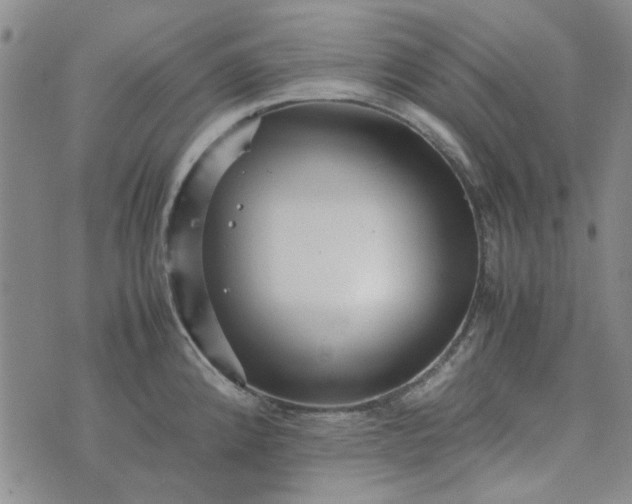 X0000075361192200609251054