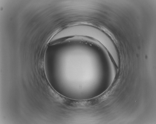 X0000075361193200609251054