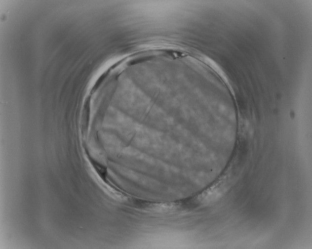 X0000075361195200609251054