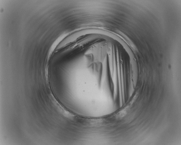 X0000075361196200609251054