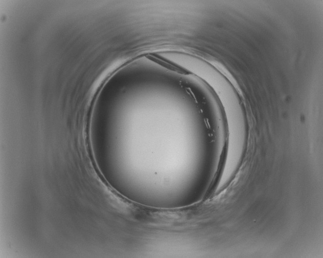 X0000075361197200609251054