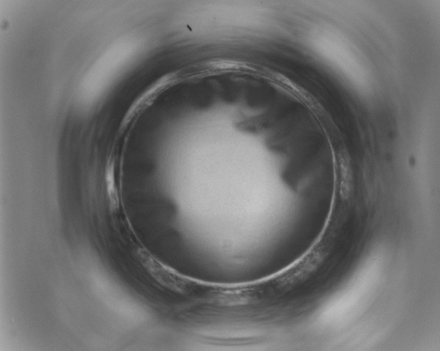 X0000075361198200609251054