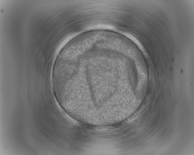 X0000075361199200609251054