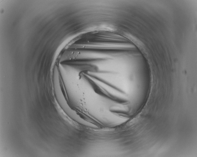 X0000075361200200609251054