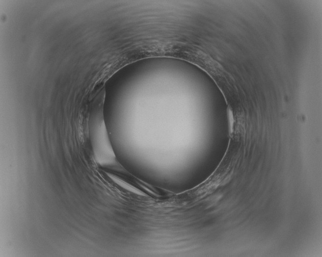 X0000075361202200609251053