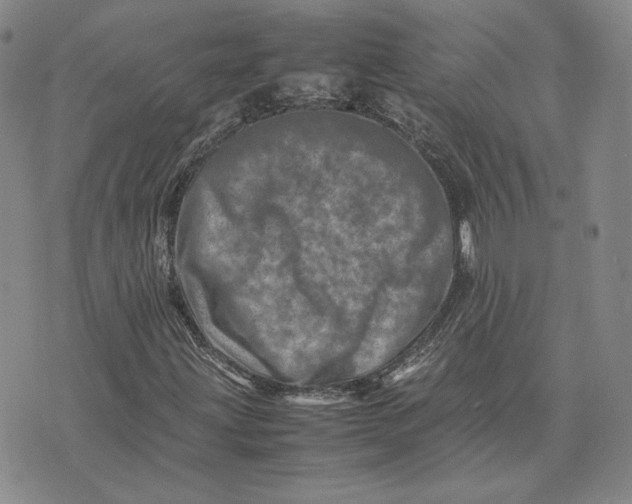 X0000075361203200609251053