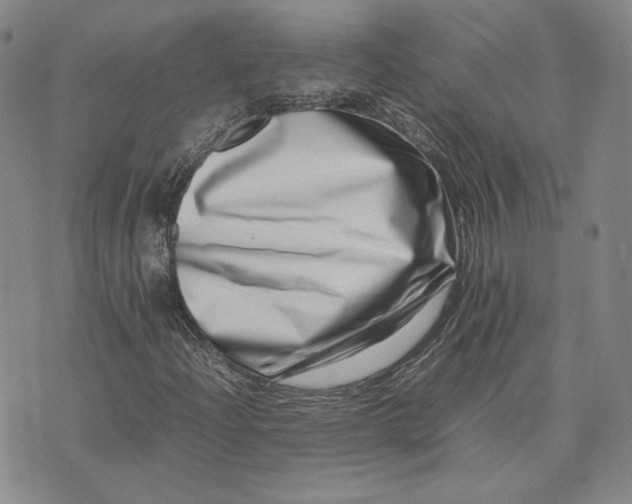 X0000075361204200609251053