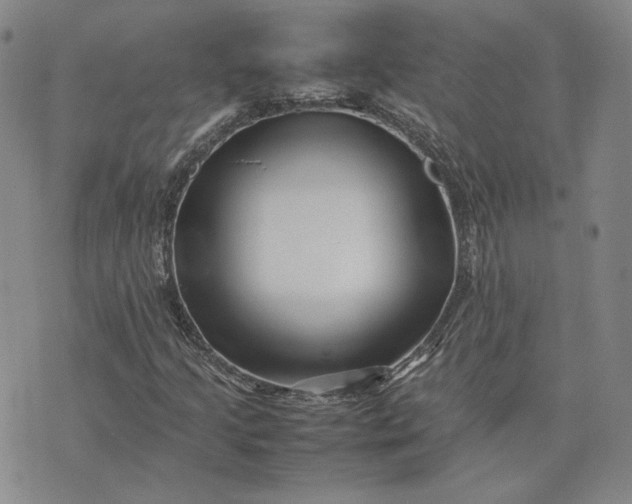 X0000075361205200609251053