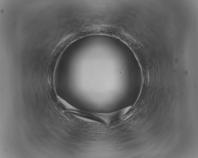 X0000075361206200609251053