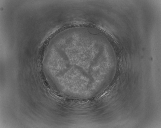 X0000075361207200609251053