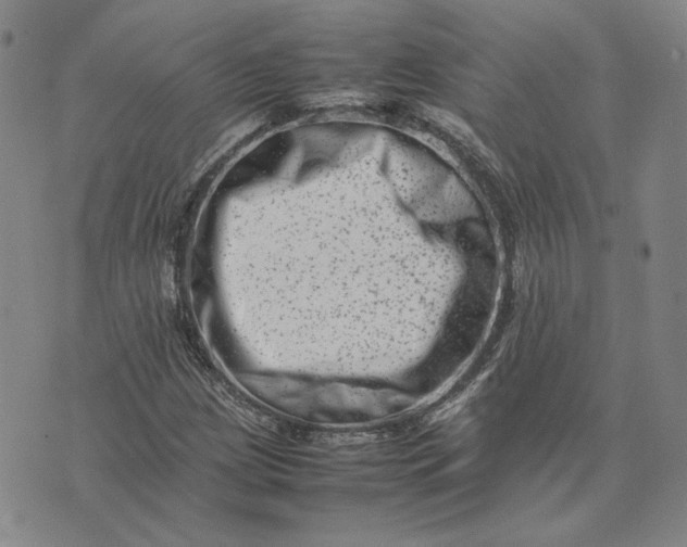 X0000075361209200609251053