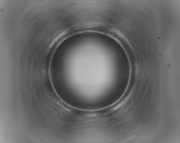 X0000075361210200609251053