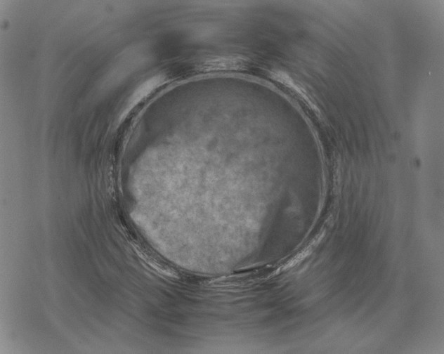 X0000075361211200609251053