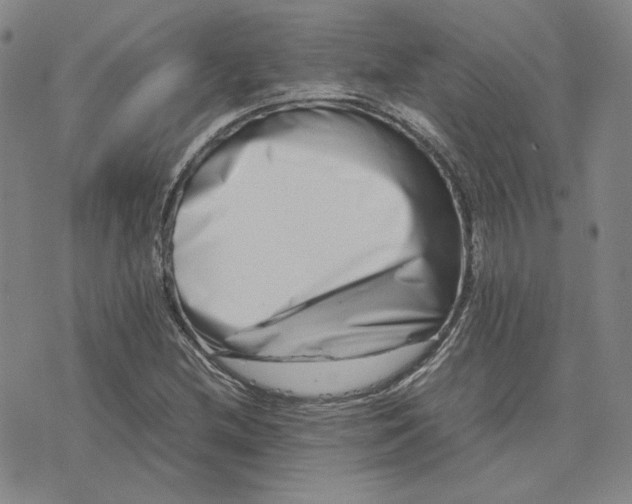 X0000075361212200609251053