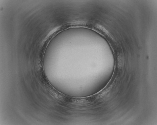 X0000075361213200609251053