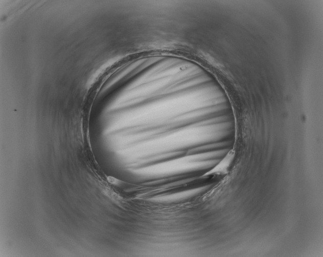 X0000075361214200609251053