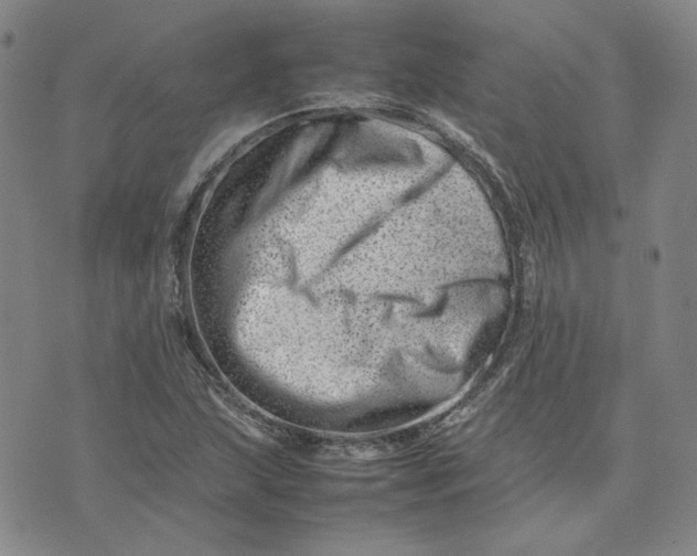 X0000075361215200609251053