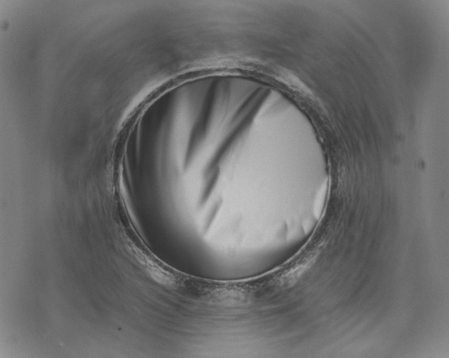 X0000075361216200609251053