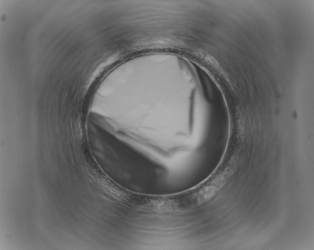 X0000075361218200609251053