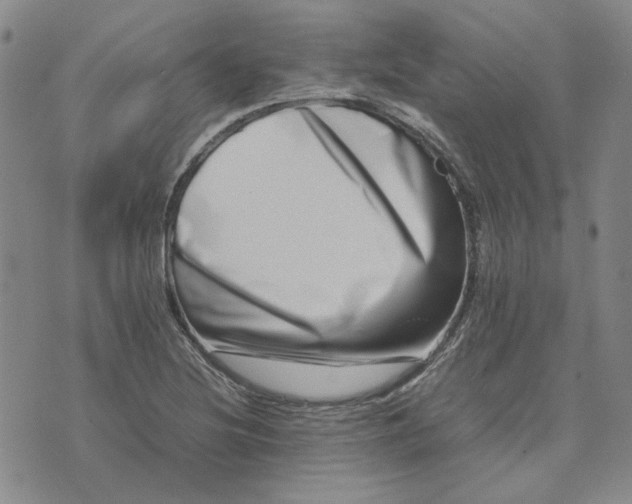 X0000075361220200609251053