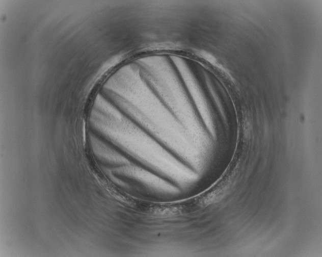 X0000075361221200609251053