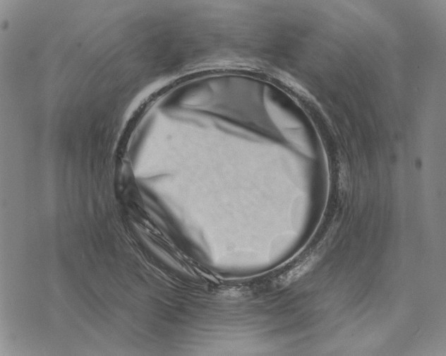 X0000075361222200609251053