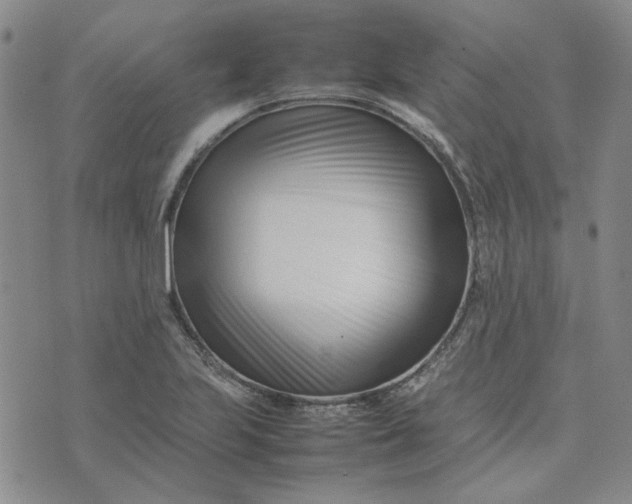 X0000075361223200609251053