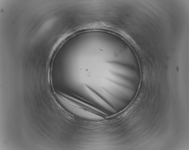 X0000075361224200609251053