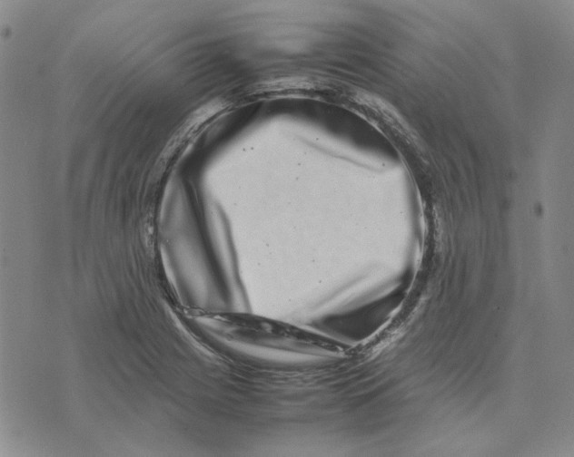 X0000075361225200609251053