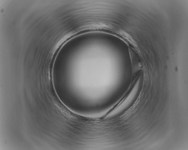 X0000075361226200609251054