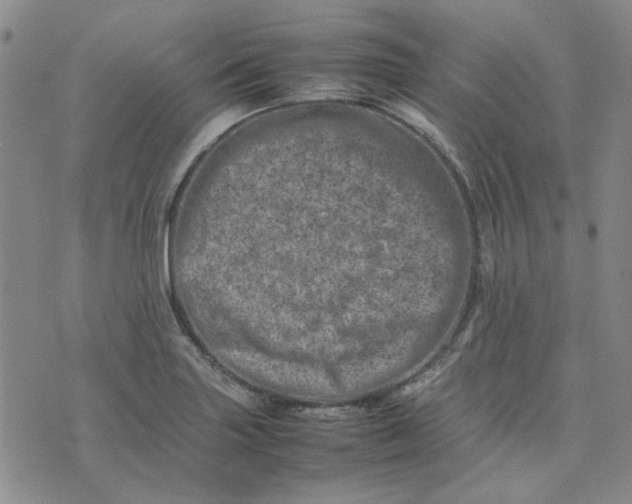 X0000075361227200609251054